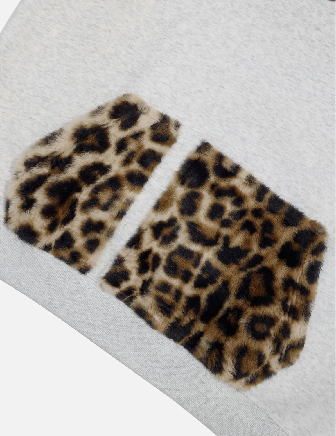 Aelfric Eden Oversized Hoodies Womens Leopard Letter Print Hoodie Fall Y2k Hooded Sweatshirts with Pocket