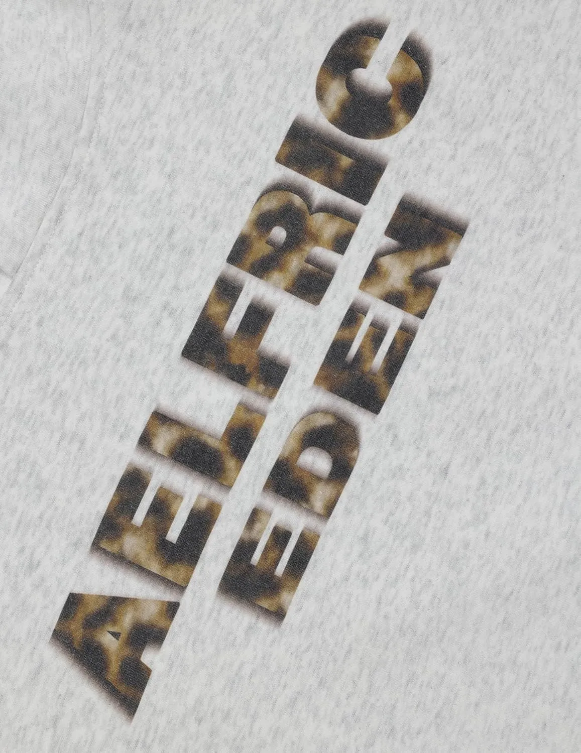 Aelfric Eden Oversized Hoodies Womens Leopard Letter Print Hoodie Fall Y2k Hooded Sweatshirts with Pocket