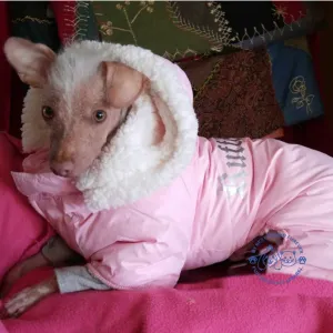 Luxury Dog Snowsuits - Premium Winter Coats